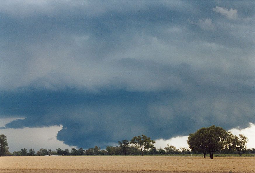 cumulonimbus thunderstorm_base : 40km SW of Walgett, NSW   8 December 2004