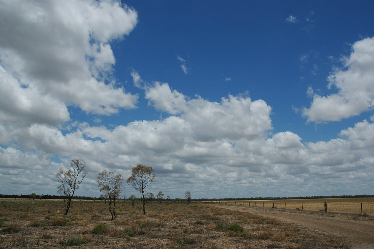 cumulus humilis : W of Walgett, NSW   8 December 2004