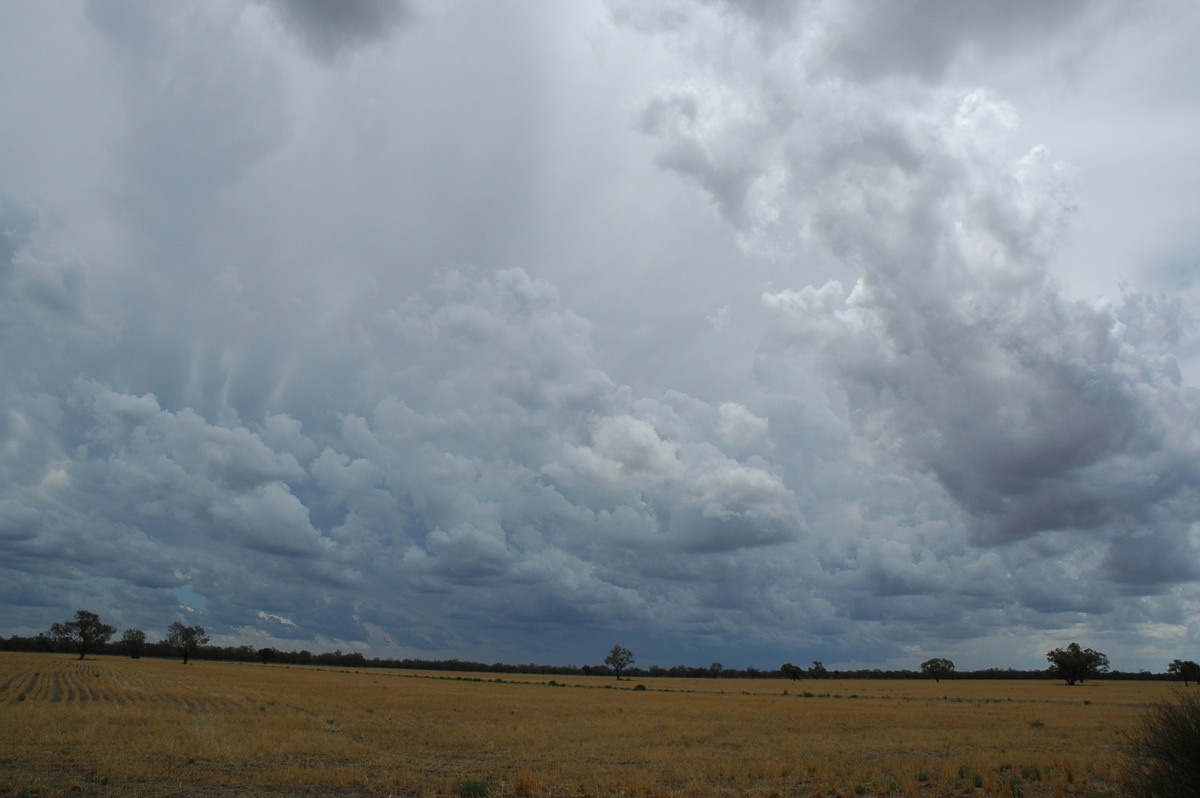 anvil thunderstorm_anvils : W of Walgett, NSW   8 December 2004