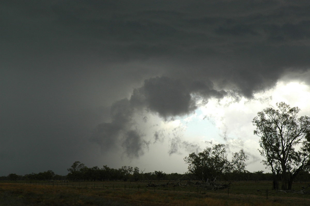 cumulonimbus thunderstorm_base : W of Walgett, NSW   8 December 2004