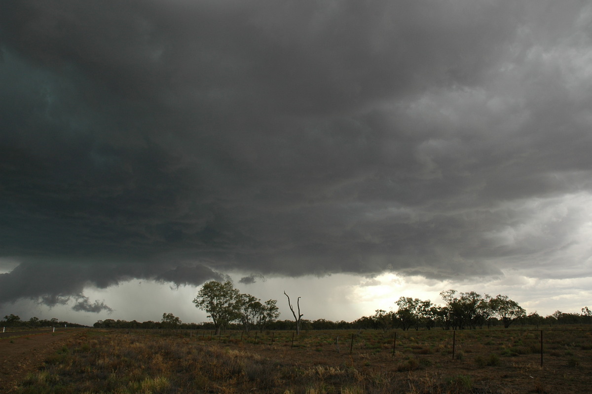 cumulonimbus supercell_thunderstorm : W of Walgett, NSW   8 December 2004