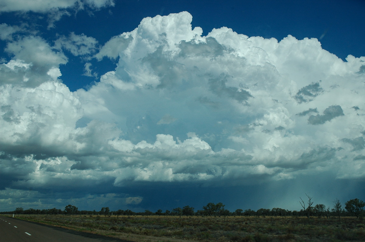 thunderstorm cumulonimbus_incus : W of Walgett, NSW   8 December 2004