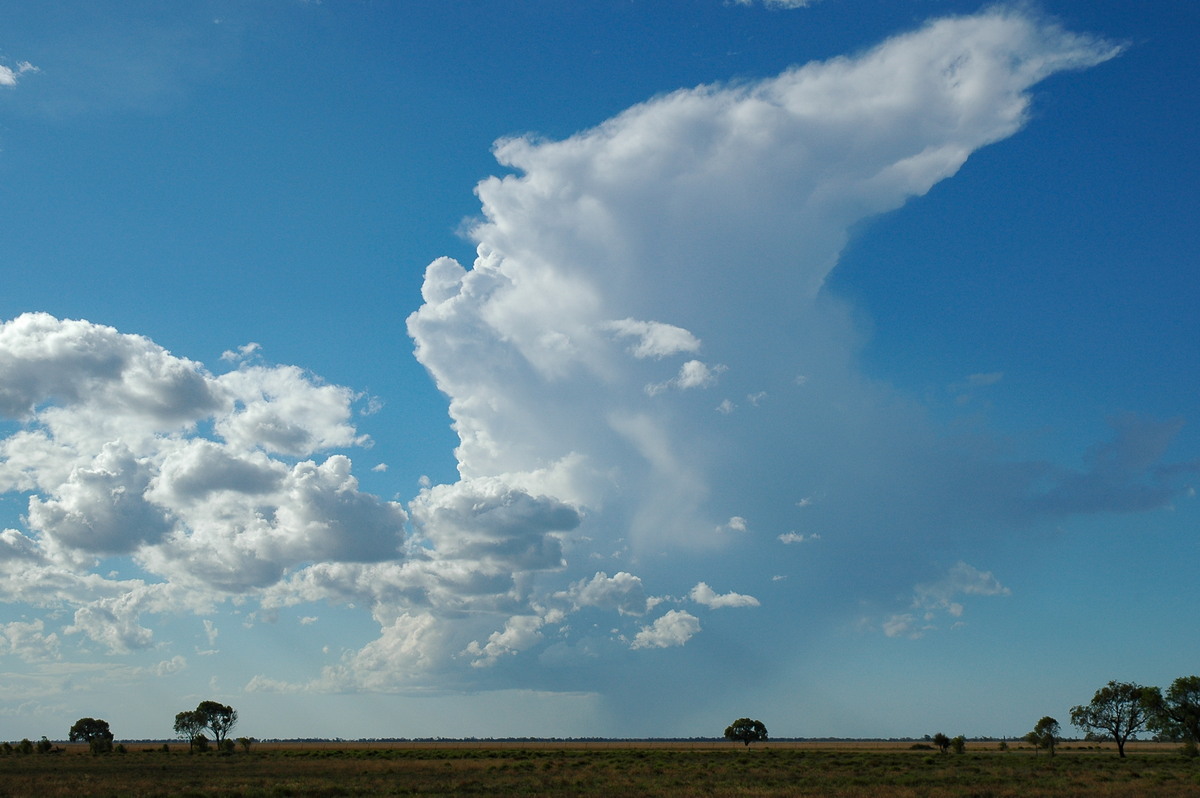 anvil thunderstorm_anvils : Walgett, NSW   8 December 2004