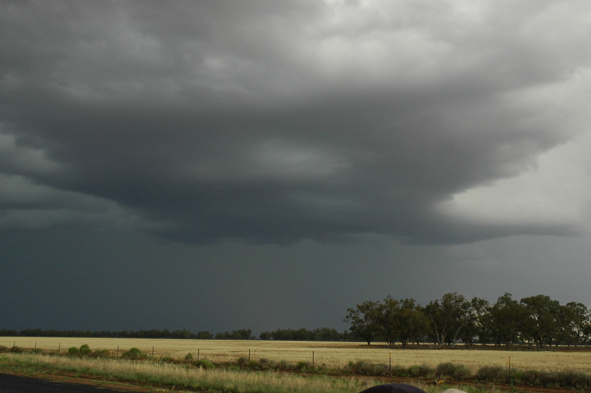cumulonimbus thunderstorm_base : S of Walgett, NSW   8 December 2004