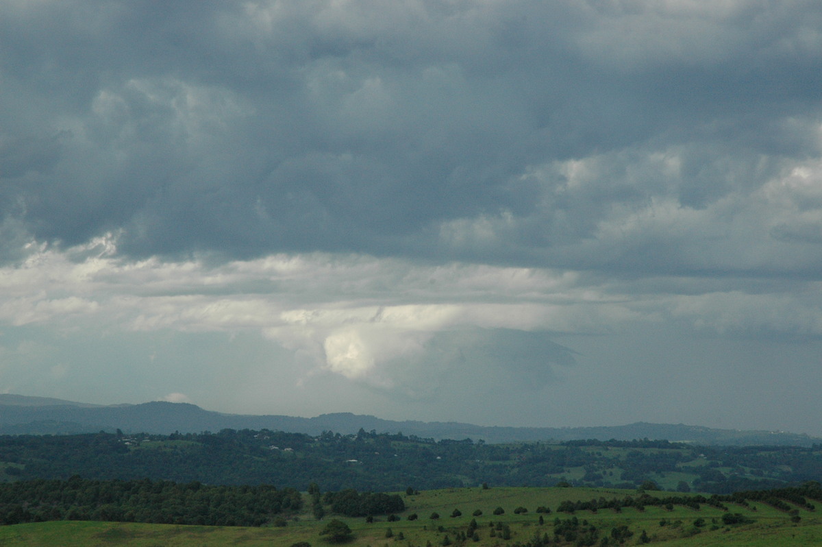 cumulonimbus thunderstorm_base : McLeans Ridges, NSW   12 December 2004