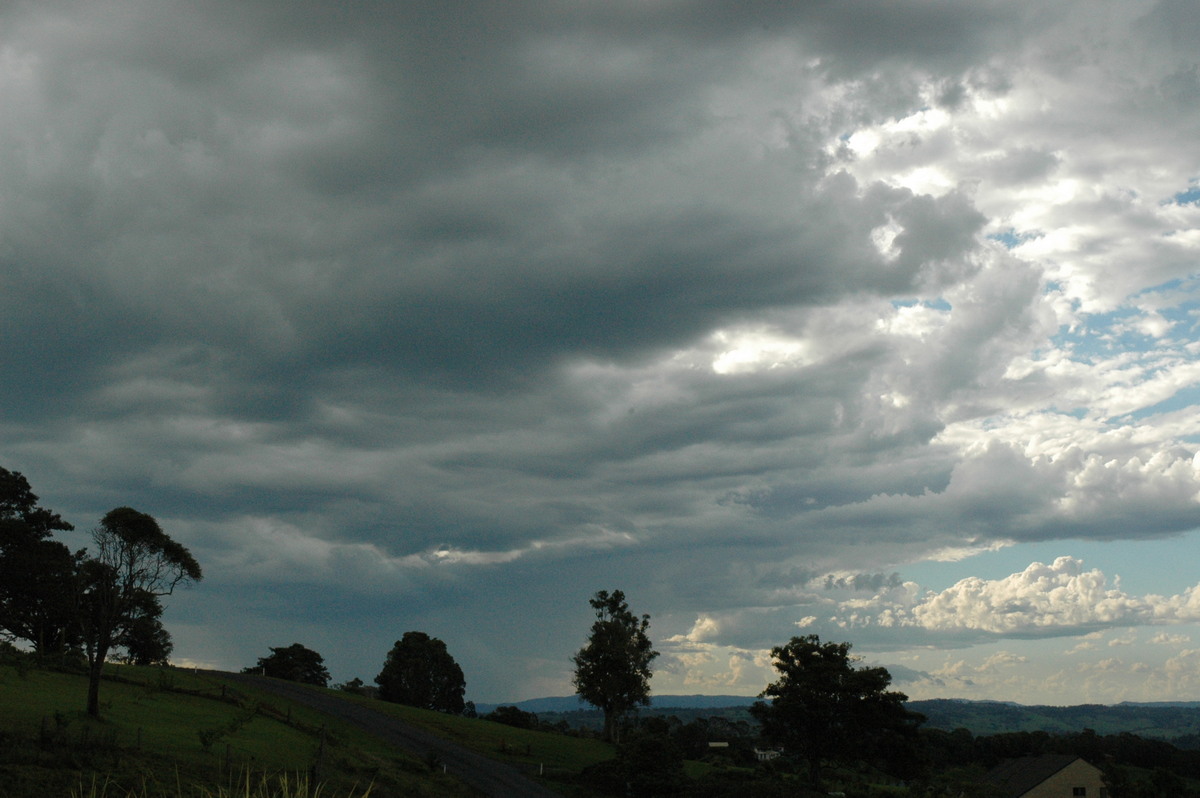 cumulonimbus thunderstorm_base : McLeans Ridges, NSW   12 December 2004