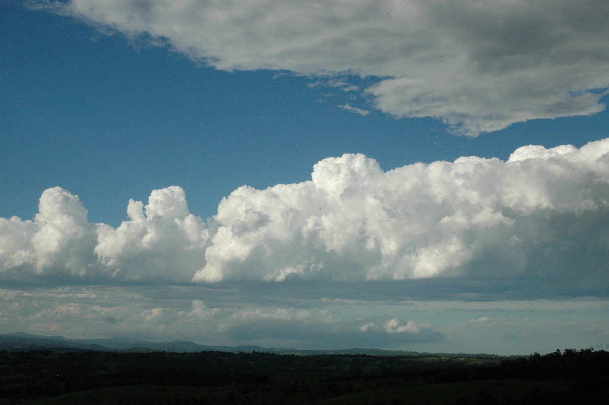 cumulus mediocris : McLeans Ridges, NSW   12 December 2004