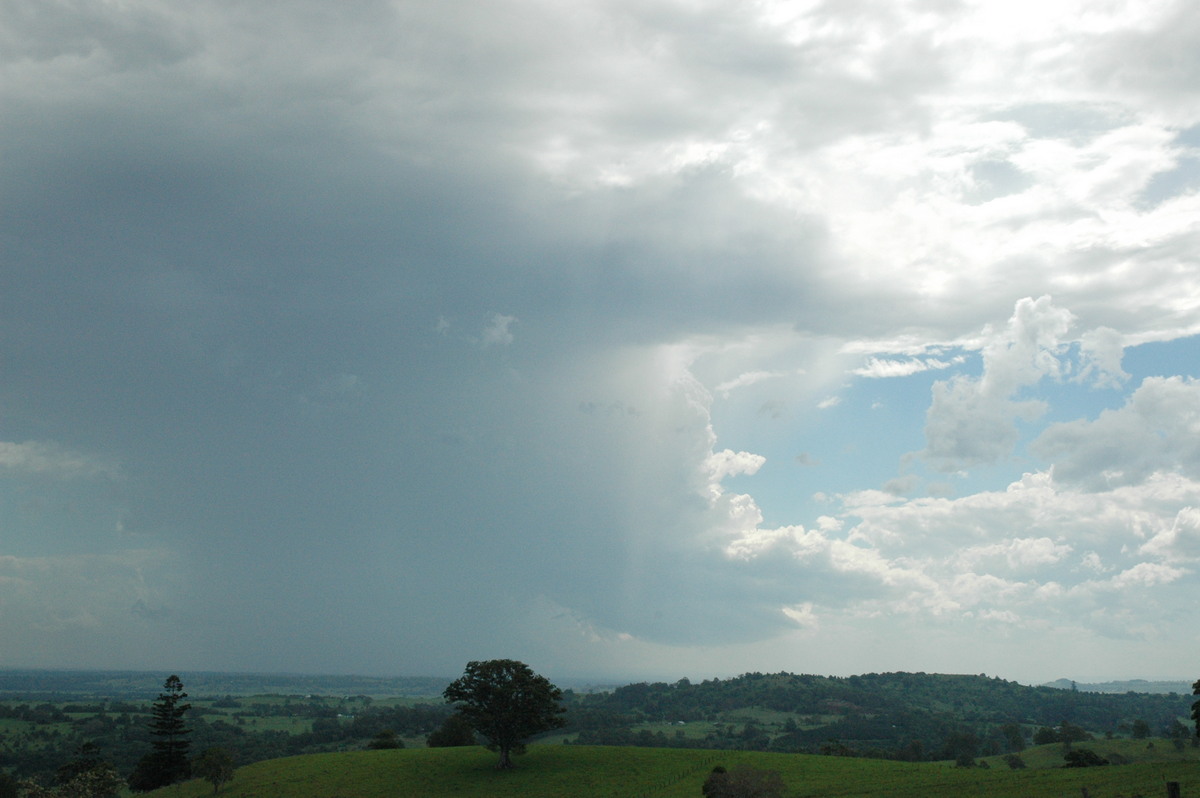 raincascade precipitation_cascade : Tregeagle, NSW   13 December 2004