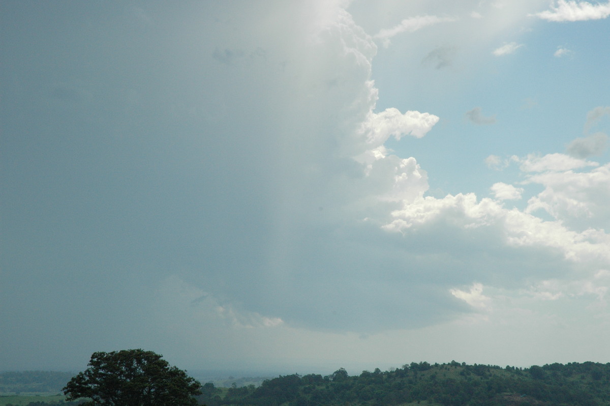 cumulonimbus thunderstorm_base : Tregeagle, NSW   13 December 2004