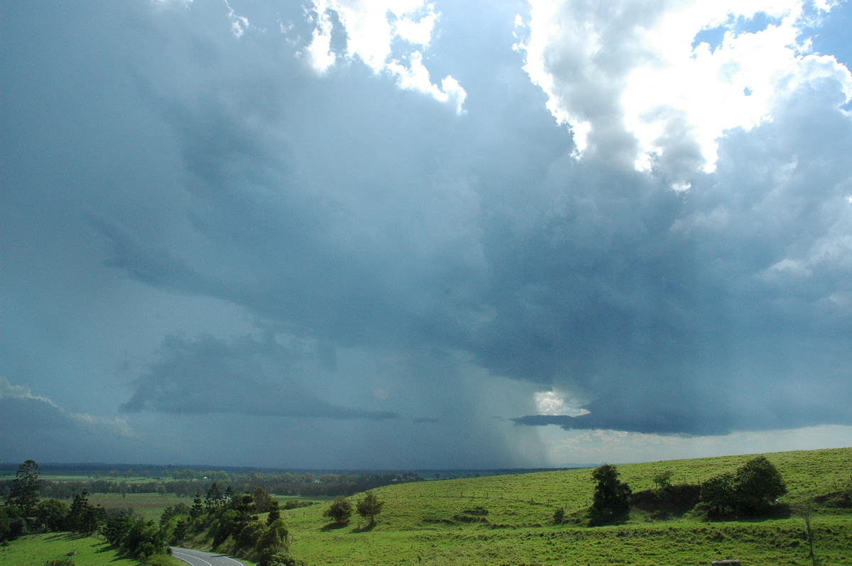 inflowband thunderstorm_inflow_band : Parrots Nest, NSW   13 December 2004