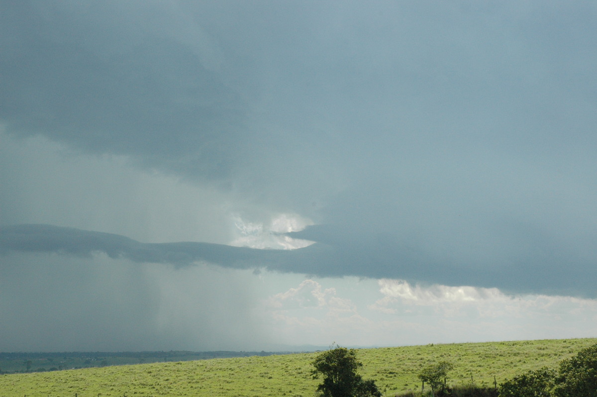 inflowband thunderstorm_inflow_band : Parrots Nest, NSW   13 December 2004