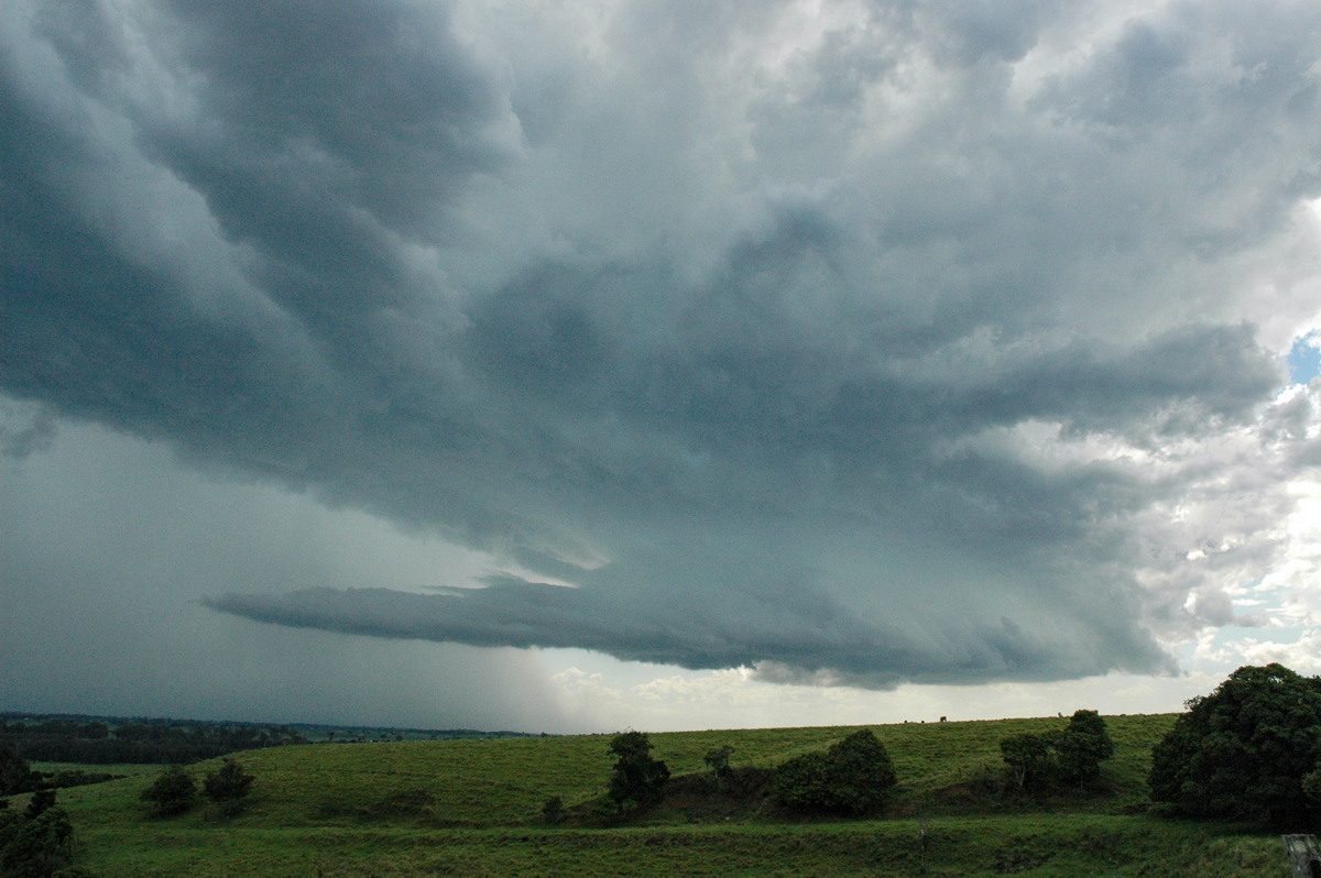 inflowband thunderstorm_inflow_band : Parrots Nest, NSW   13 December 2004