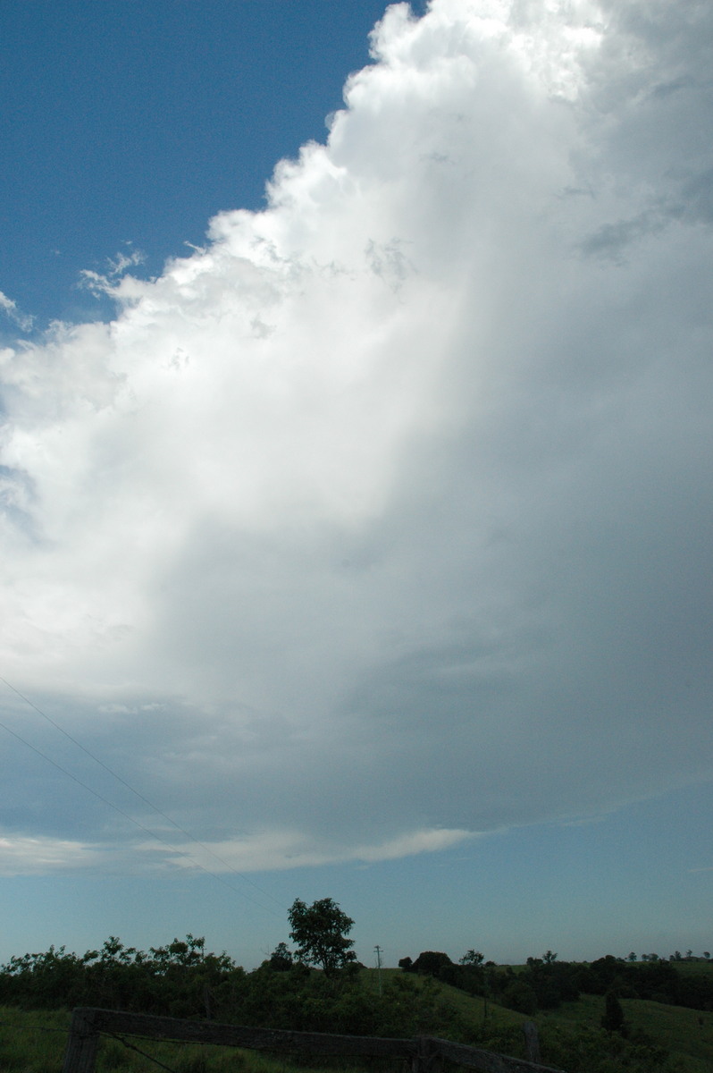 anvil thunderstorm_anvils : Parrots Nest, NSW   13 December 2004