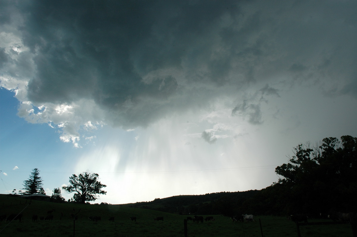 cumulonimbus thunderstorm_base : Bangalow, NSW   13 December 2004