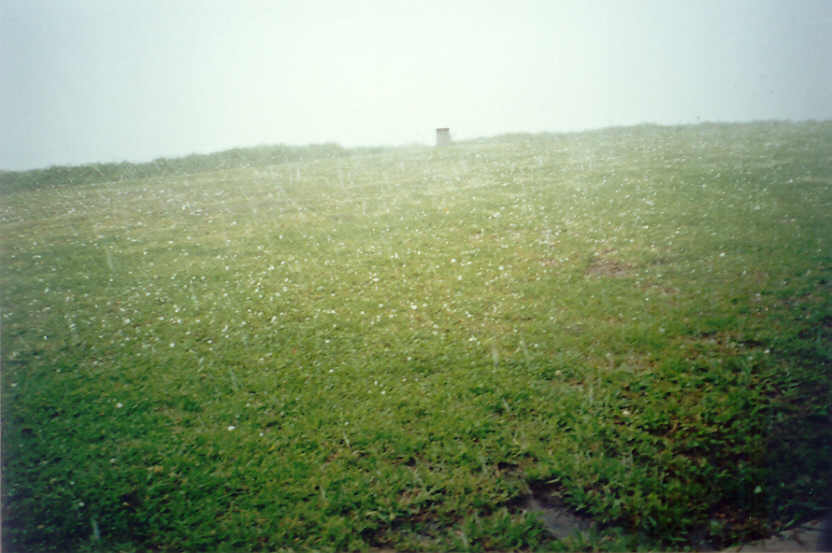 favourites michael_bath : McLeans Ridges, NSW   13 December 2004