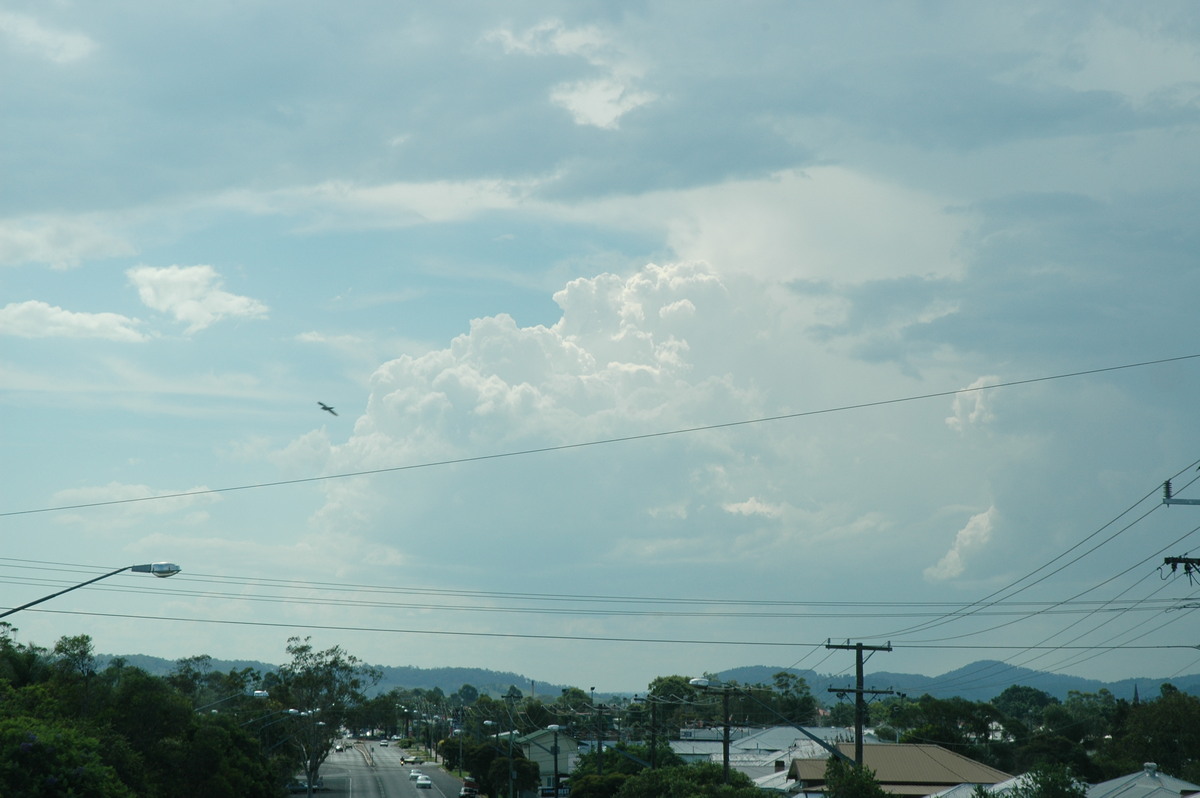 cumulus congestus : Lismore, NSW   19 December 2004