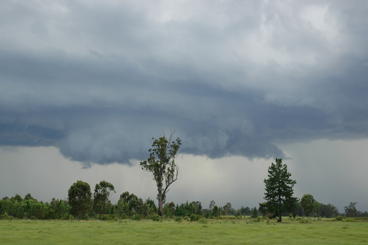 wallcloud thunderstorm_wall_cloud : near Whiporie, NSW   19 December 2004