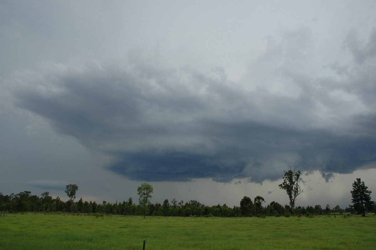 wallcloud thunderstorm_wall_cloud : near Whiporie, NSW   19 December 2004