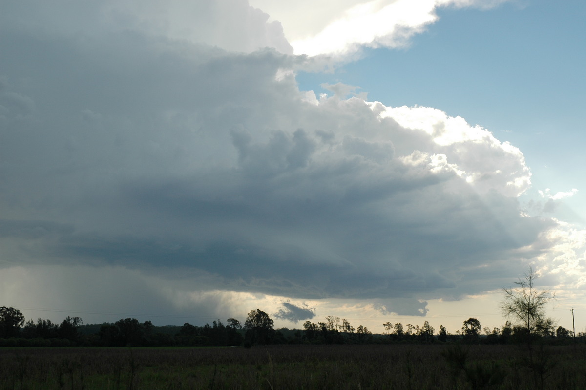 cumulonimbus thunderstorm_base : near Coraki, NSW   19 December 2004