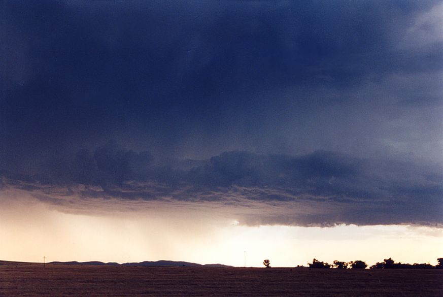 cumulonimbus thunderstorm_base : S of Dubbo, NSW   23 December 2004