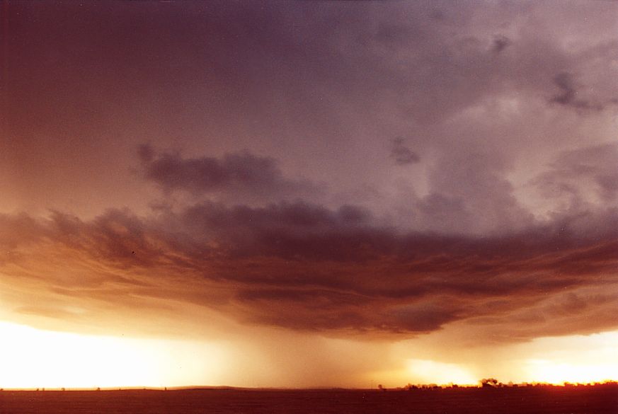 cumulonimbus thunderstorm_base : S of Dubbo, NSW   23 December 2004