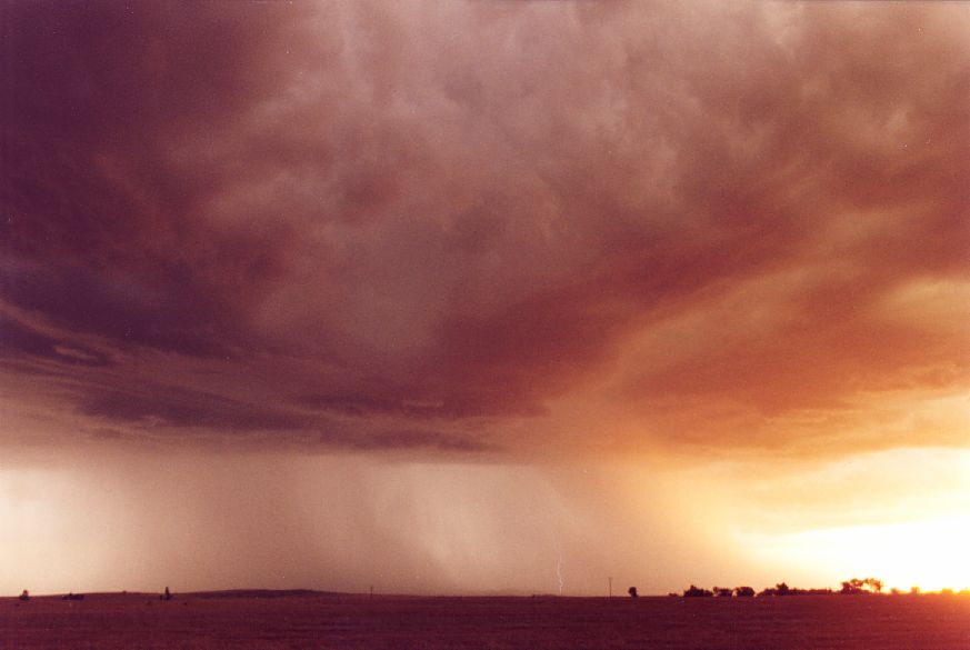 raincascade precipitation_cascade : S of Dubbo, NSW   23 December 2004