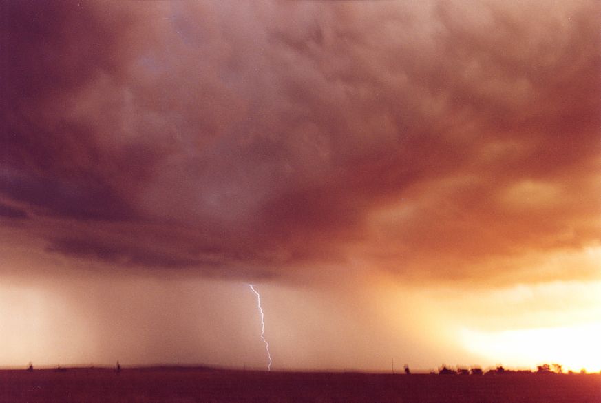 lightning lightning_bolts : S of Dubbo, NSW   23 December 2004