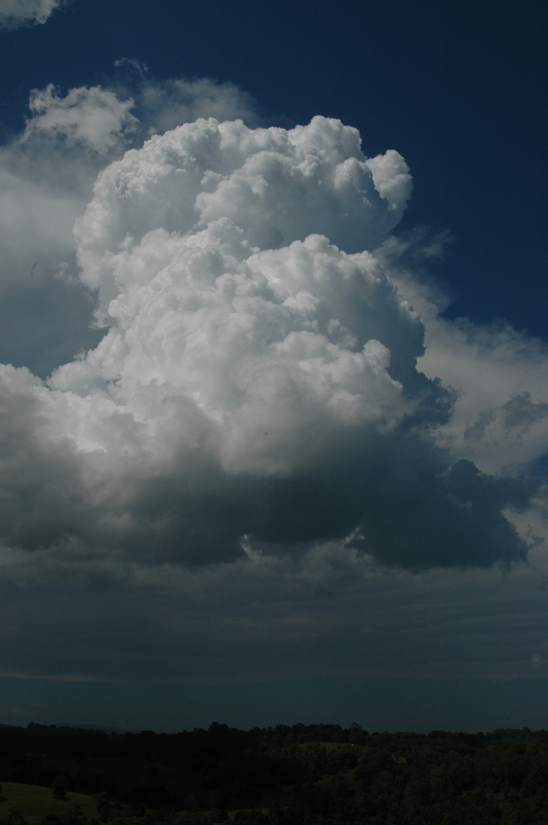 cumulus congestus : N of Lismore, NSW   23 December 2004