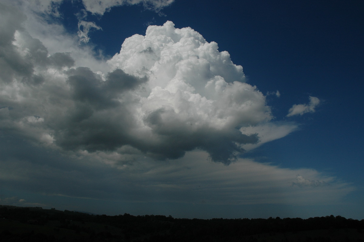 cumulus congestus : N of Lismore, NSW   23 December 2004