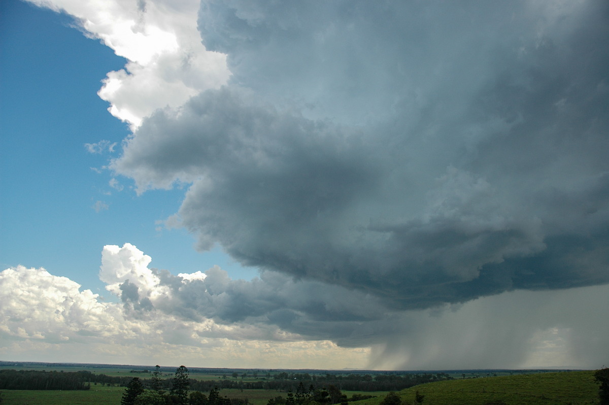 cumulonimbus thunderstorm_base : Parrots Nest, NSW   23 December 2004