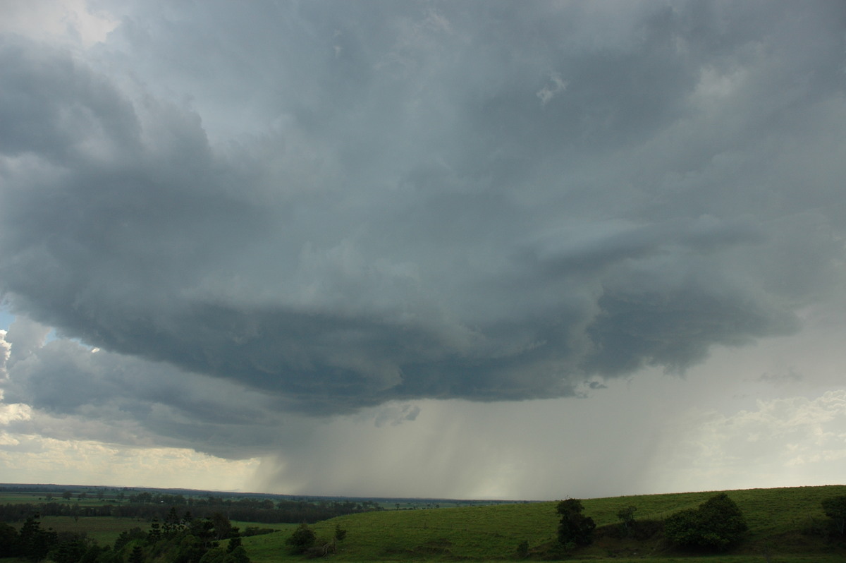 cumulonimbus thunderstorm_base : Parrots Nest, NSW   23 December 2004