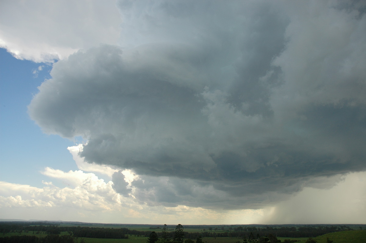 cumulonimbus thunderstorm_base : Parrots Nest, NSW   23 December 2004