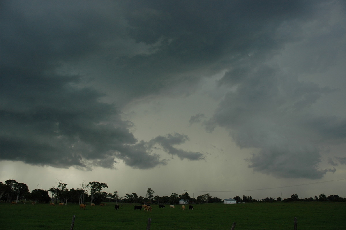 raincascade precipitation_cascade : Coraki, NSW   23 December 2004
