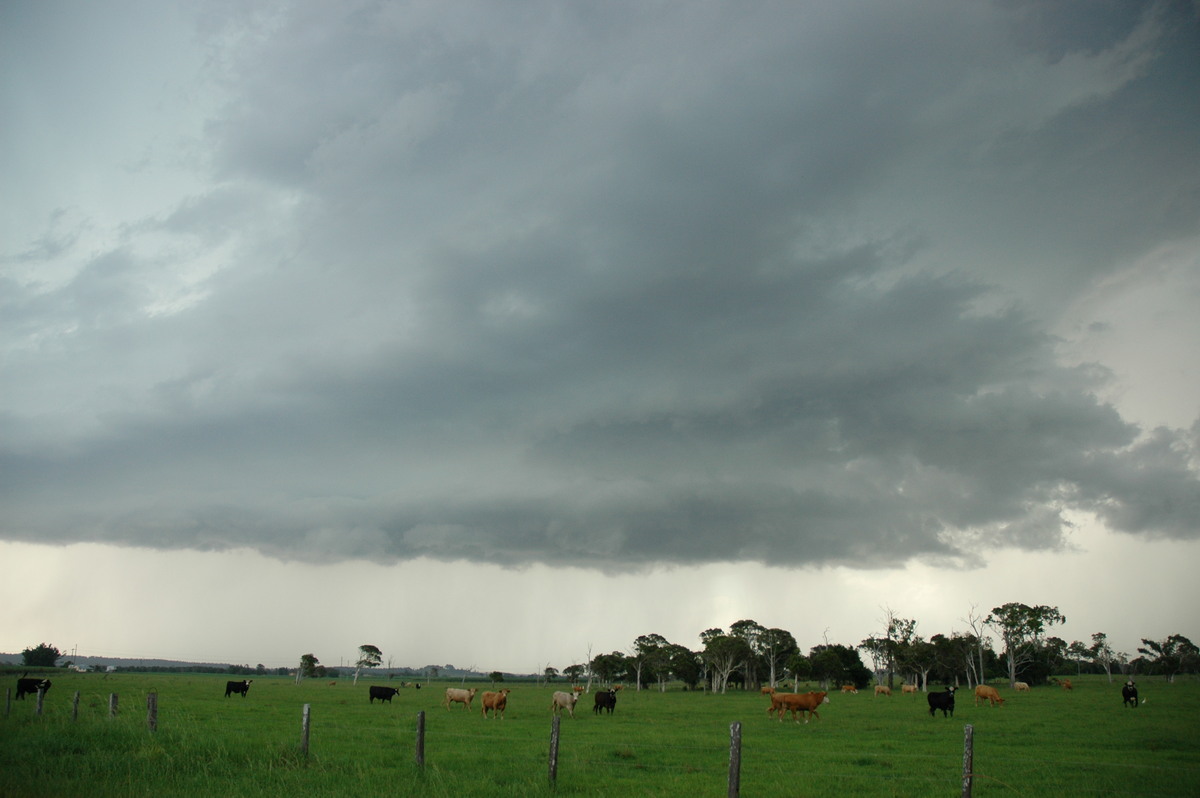 cumulonimbus thunderstorm_base : Woodburn, NSW   23 December 2004
