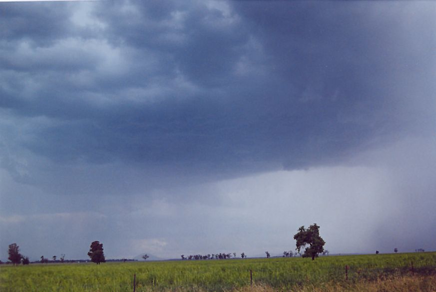 cumulonimbus thunderstorm_base : W of Gunnedah, NSW   25 December 2004