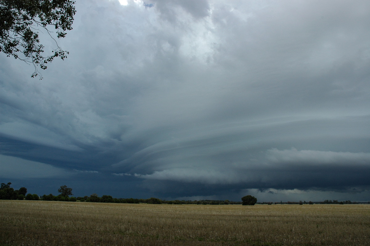 inflowband thunderstorm_inflow_band : N of Narrabri, NSW   27 December 2004