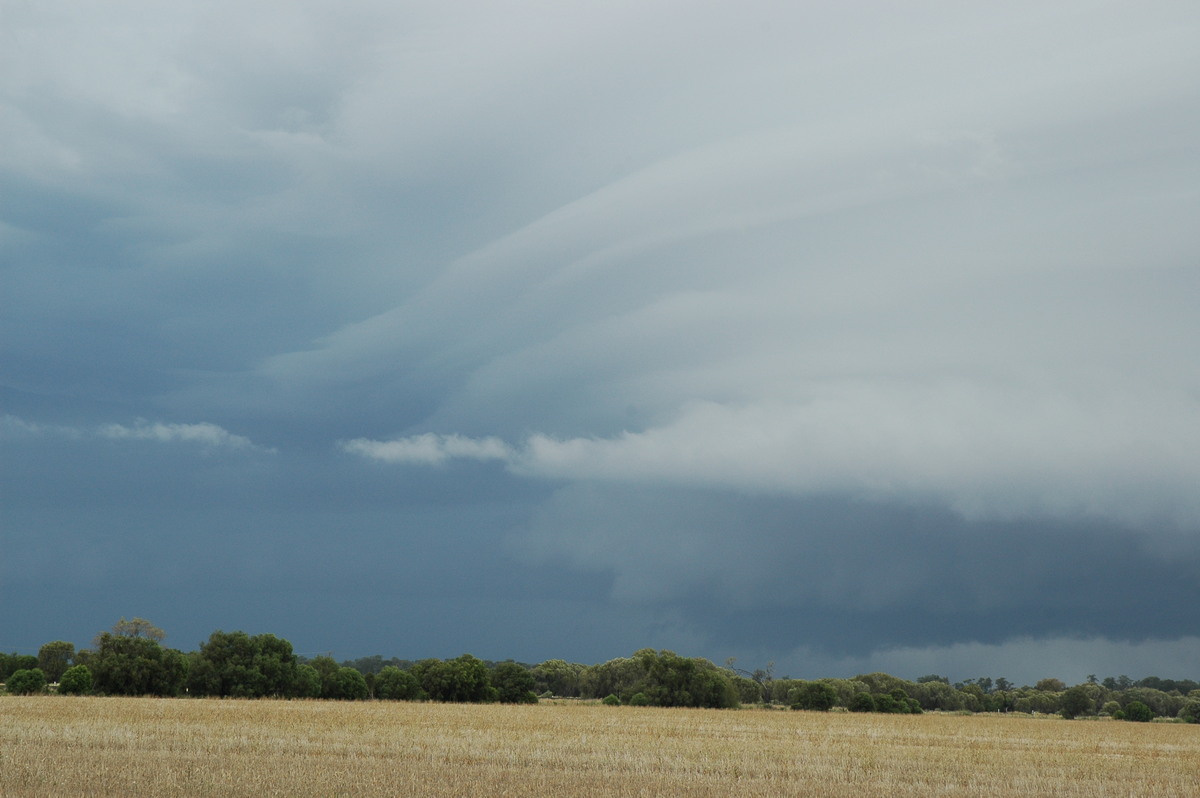 wallcloud thunderstorm_wall_cloud : N of Narrabri, NSW   27 December 2004