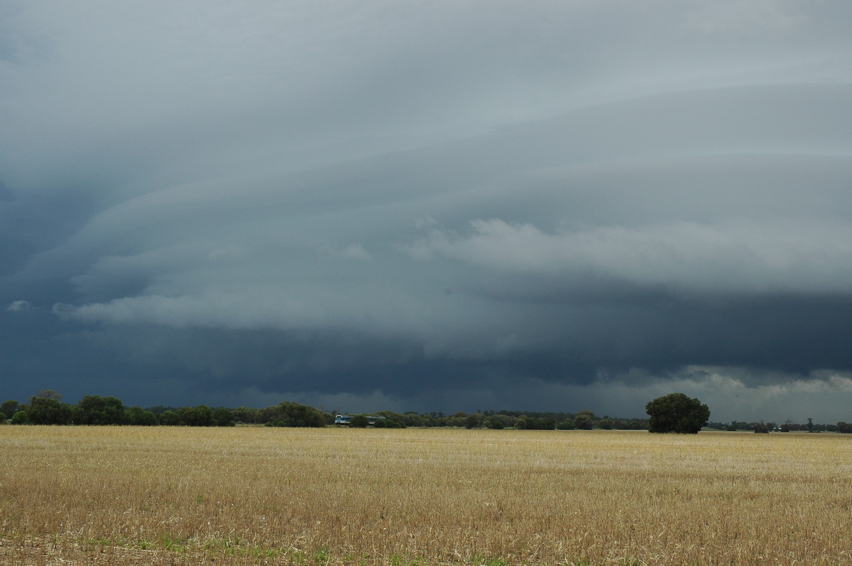 cumulonimbus thunderstorm_base : N of Narrabri, NSW   27 December 2004
