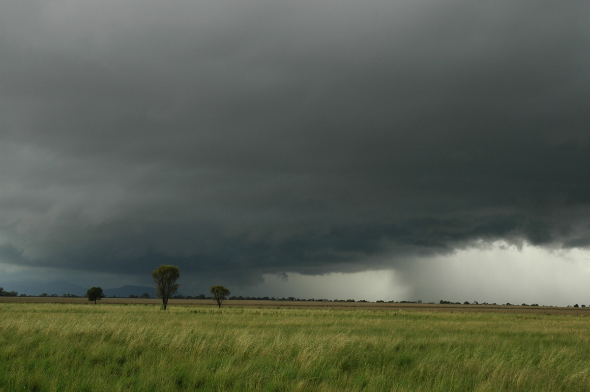 raincascade precipitation_cascade : near Narrabri, NSW   27 December 2004