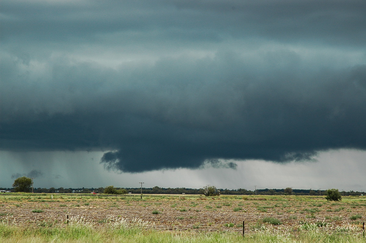 cumulonimbus thunderstorm_base : S of Moree, NSW   27 December 2004