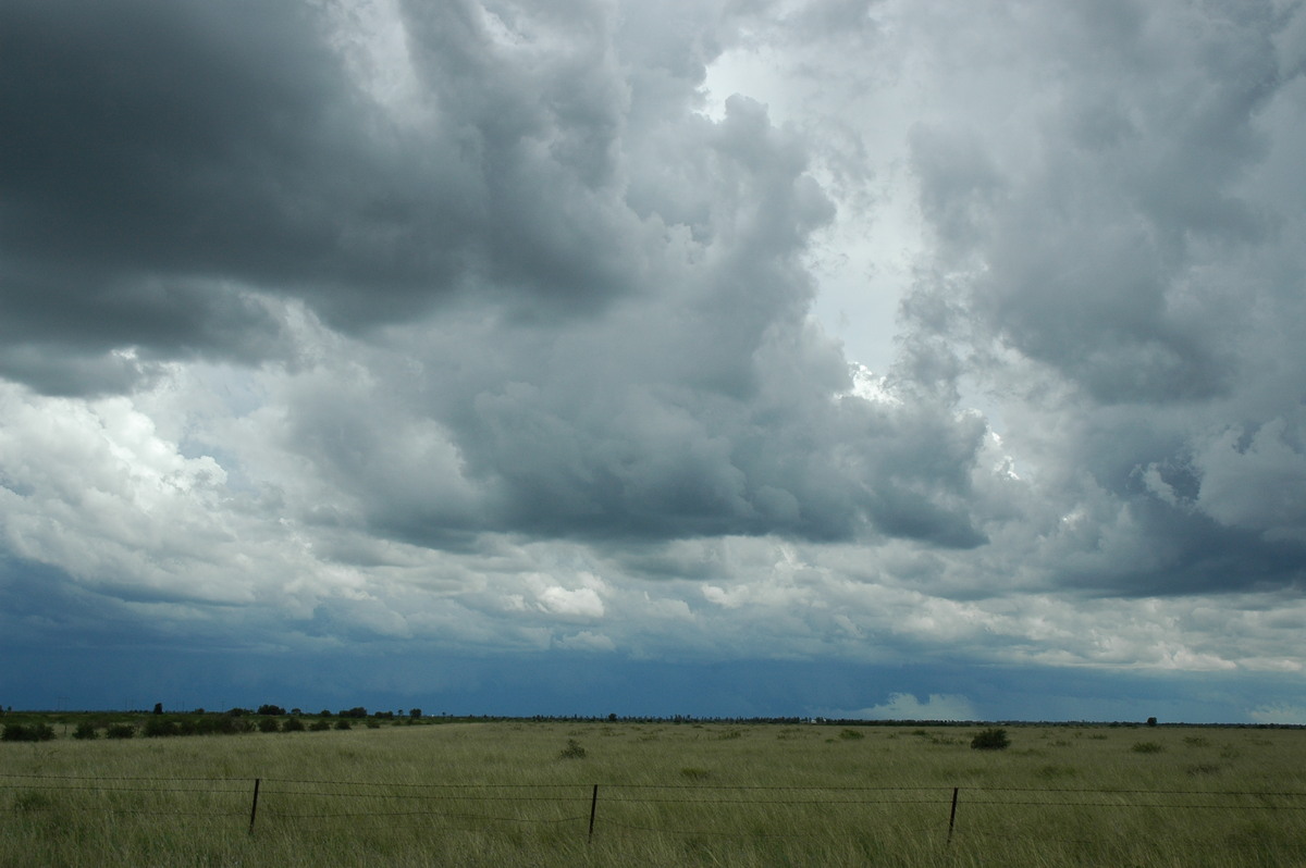 cumulonimbus thunderstorm_base : S of Moree, NSW   27 December 2004