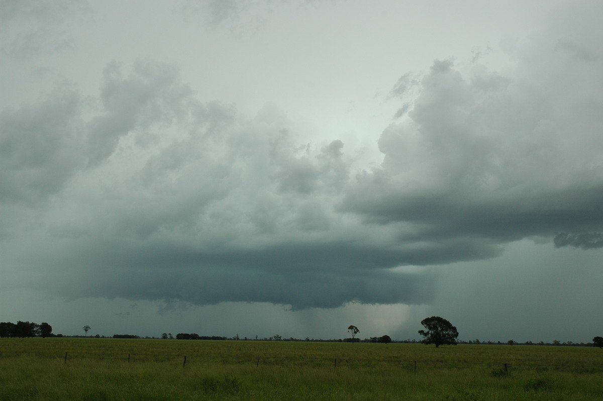 cumulonimbus thunderstorm_base : N of Moree, NSW   27 December 2004