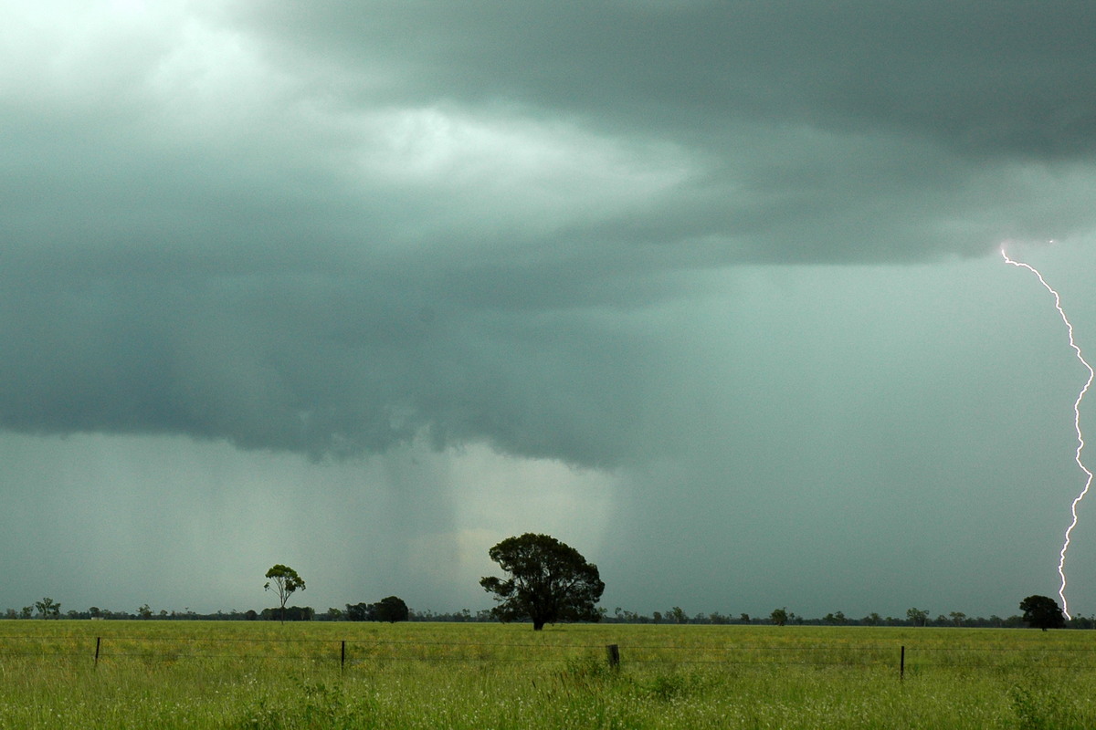 cumulonimbus thunderstorm_base : near Moree, NSW   27 December 2004
