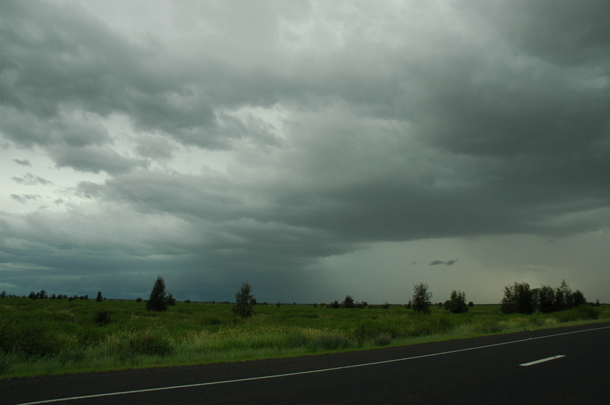 cumulonimbus thunderstorm_base : N of Moree, NSW   27 December 2004
