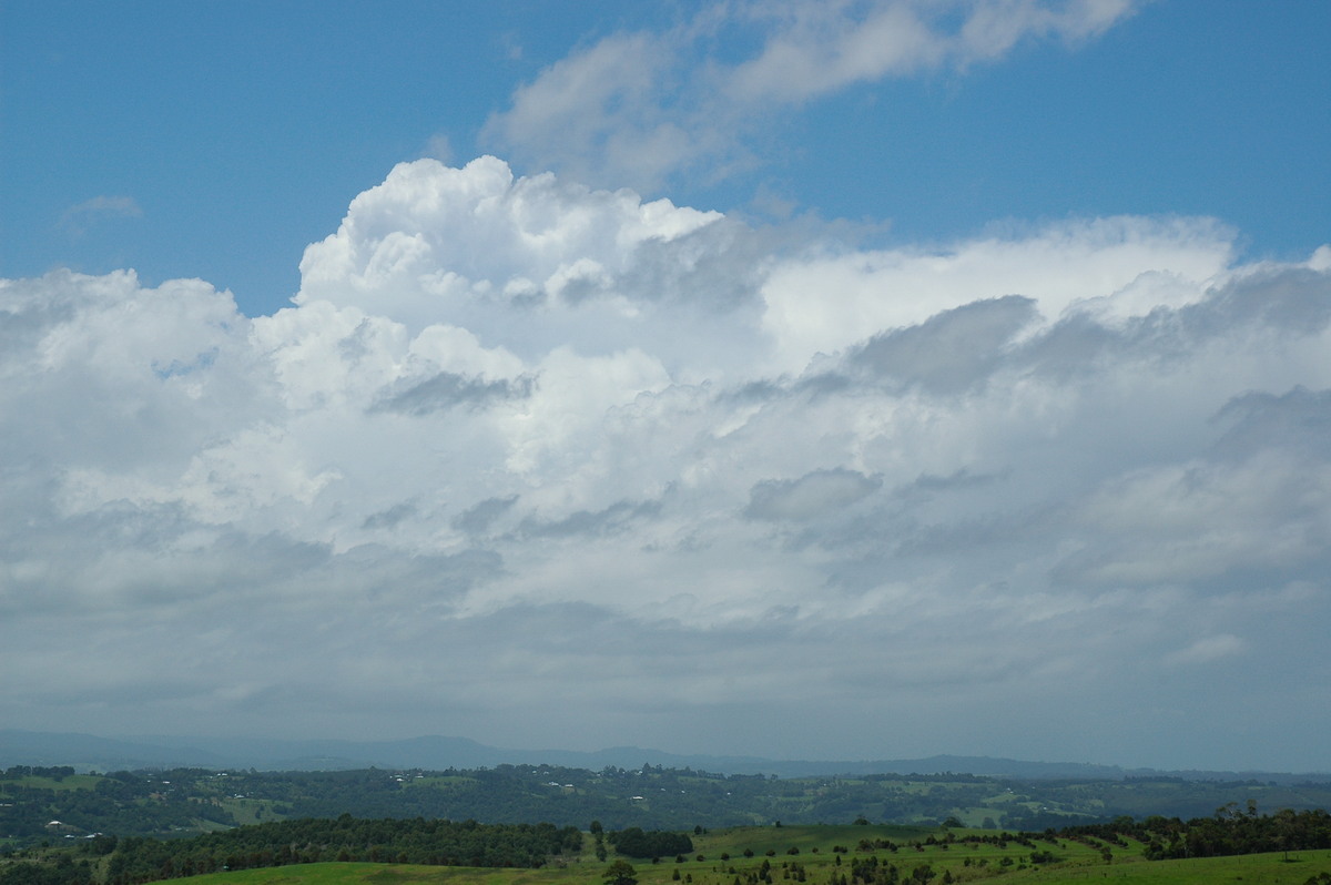 stratocumulus stratocumulus_cloud : McLeans Ridges, NSW   28 December 2004