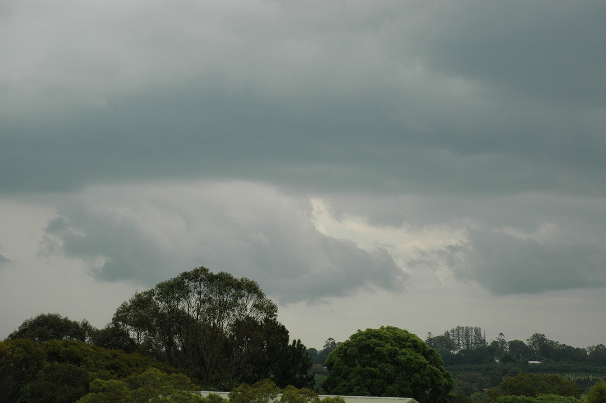 cumulonimbus thunderstorm_base : McLeans Ridges, NSW   5 January 2005