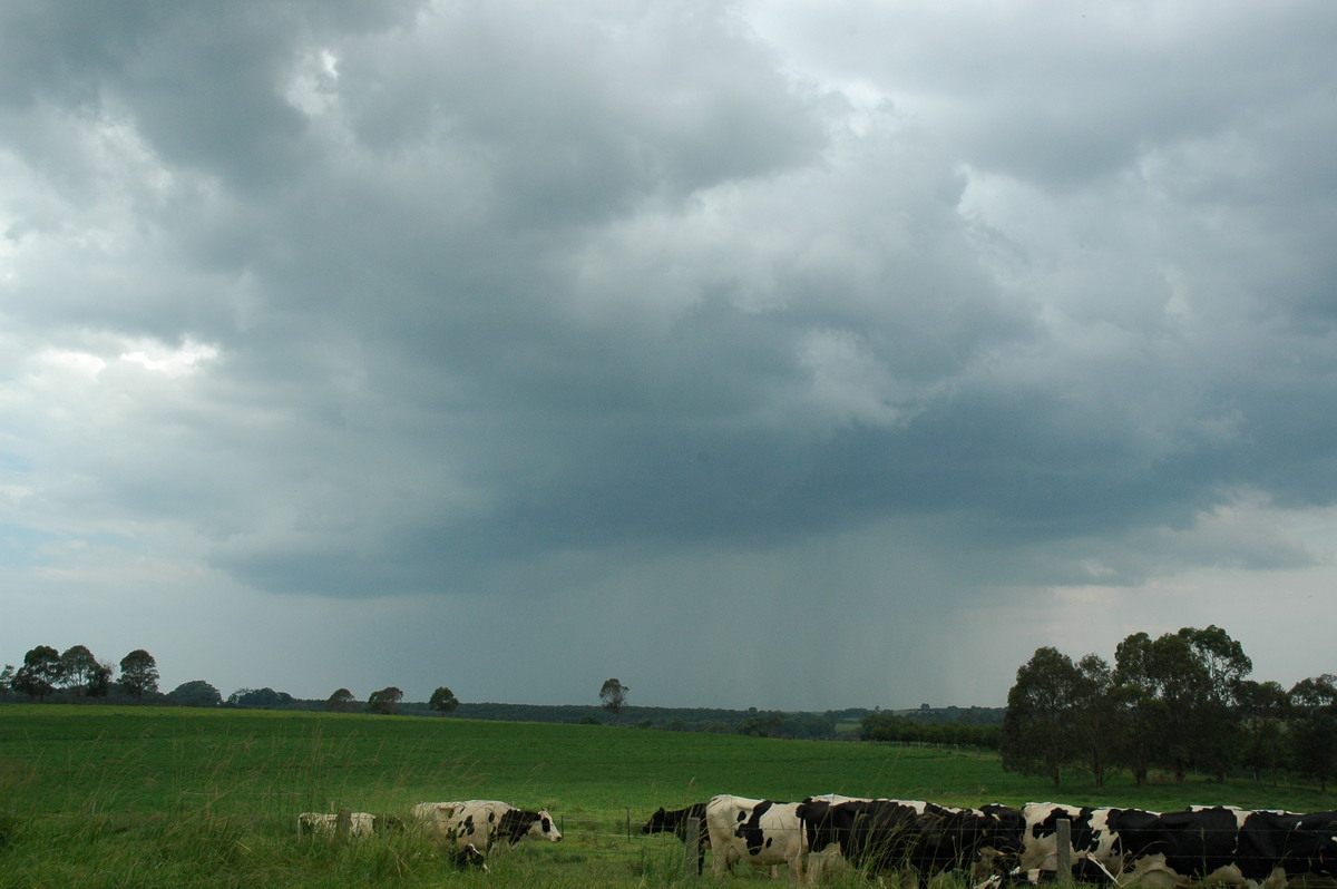 cumulonimbus thunderstorm_base : Tregeagle, NSW   5 January 2005