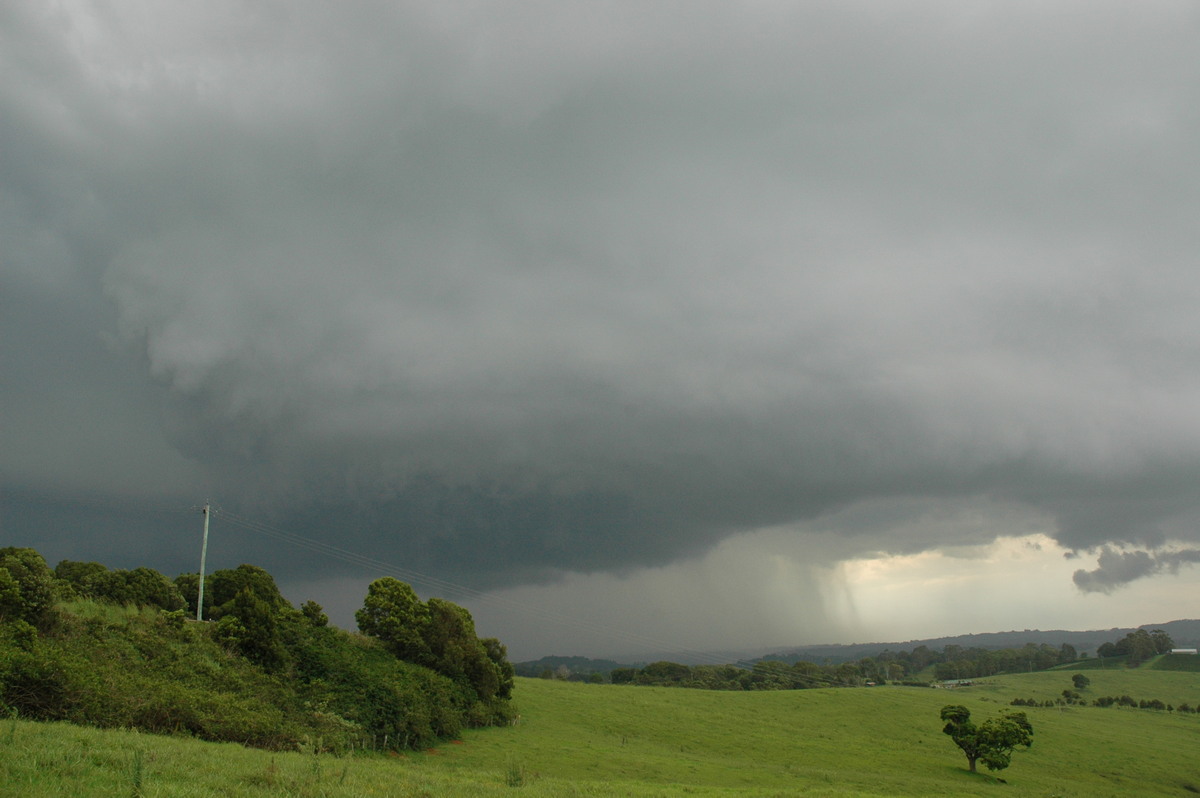 cumulonimbus thunderstorm_base : Saint Helena, NSW   5 January 2005
