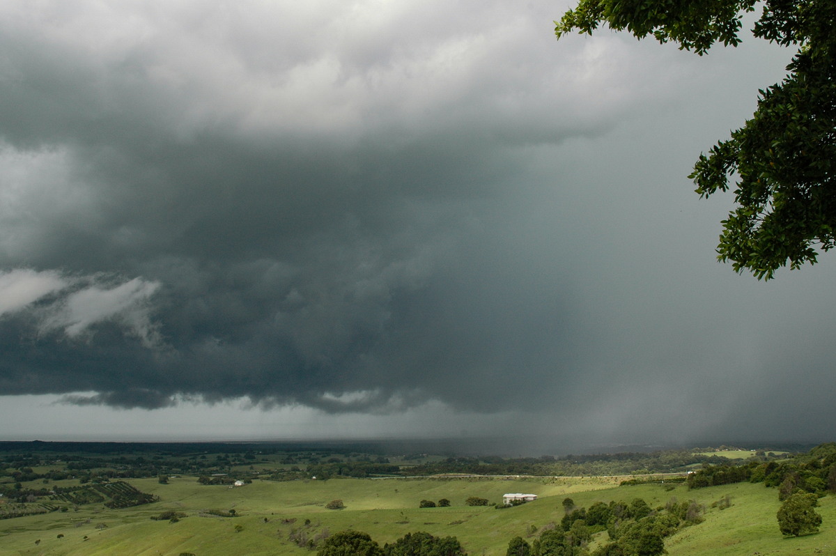 raincascade precipitation_cascade : Saint Helena, NSW   5 January 2005
