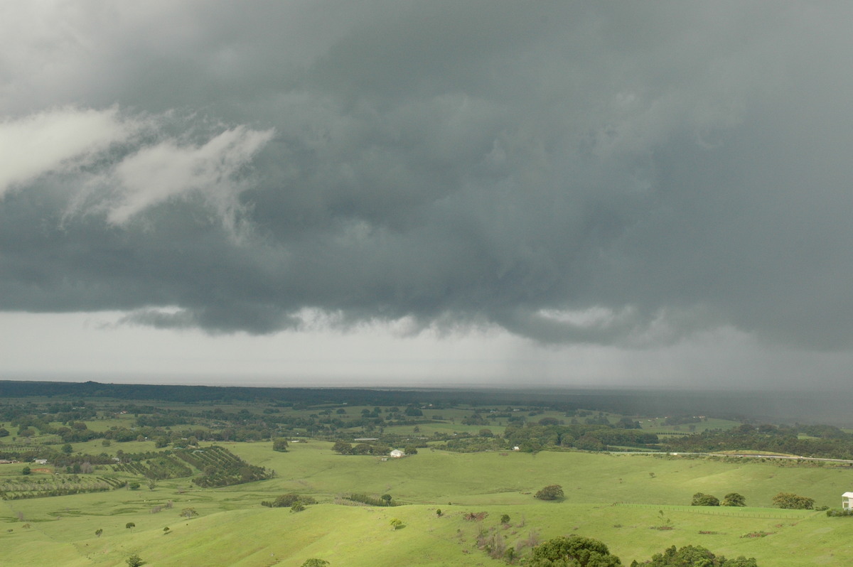 cumulonimbus thunderstorm_base : Saint Helena, NSW   5 January 2005